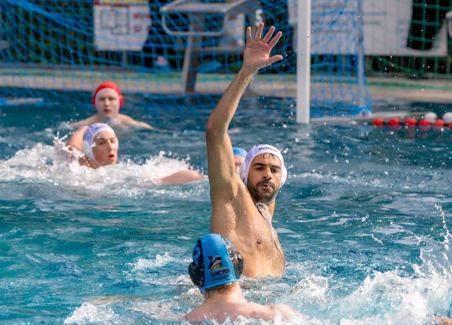 Bild zu Der Wasserballgott war kein Neuköllner